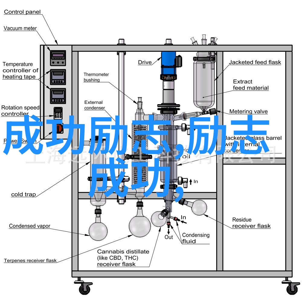 从小强到大圣悟空变身历程