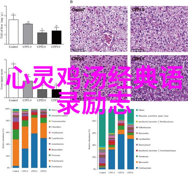 文学之声莫言先生的经典语录探秘