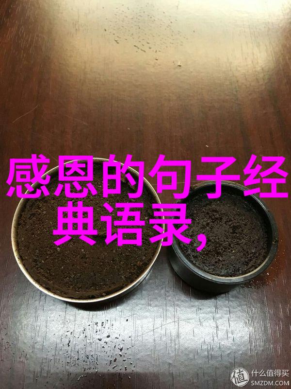 婆媳的战国时代最后一集破冰与和解的黎明