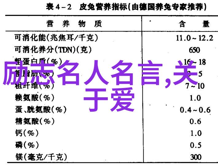 奥斯卡施密特的灯泡梦想奥斯卡施密特从一名失业者到成功发明家