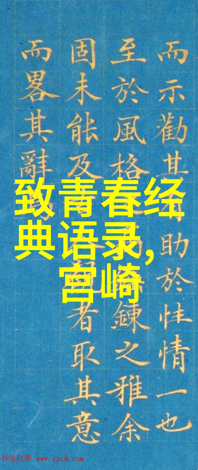 独立飞翔残疾人士如何通过坚持实现梦想