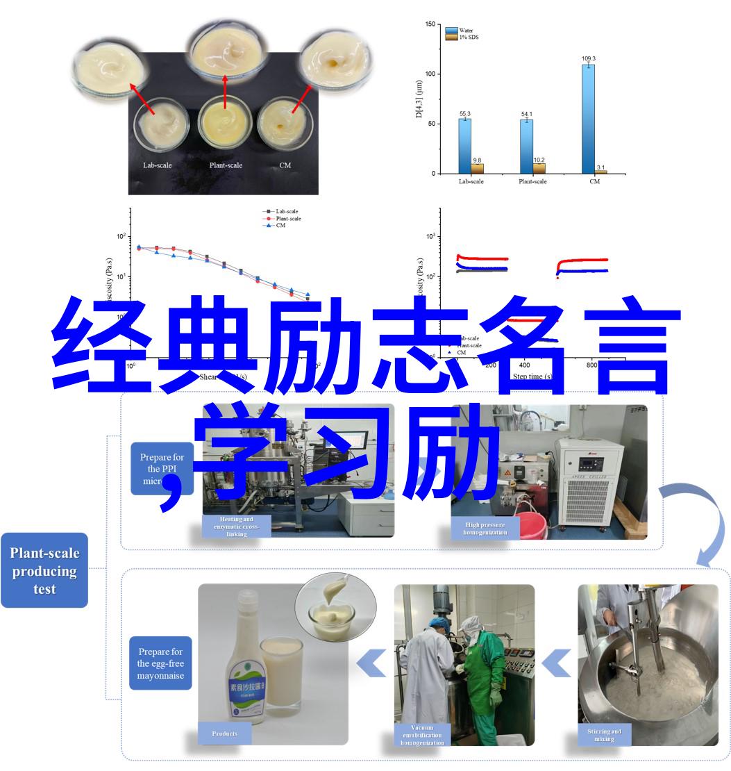 非主流经典语录-边缘思想家探索那些不为人知的哲学金句