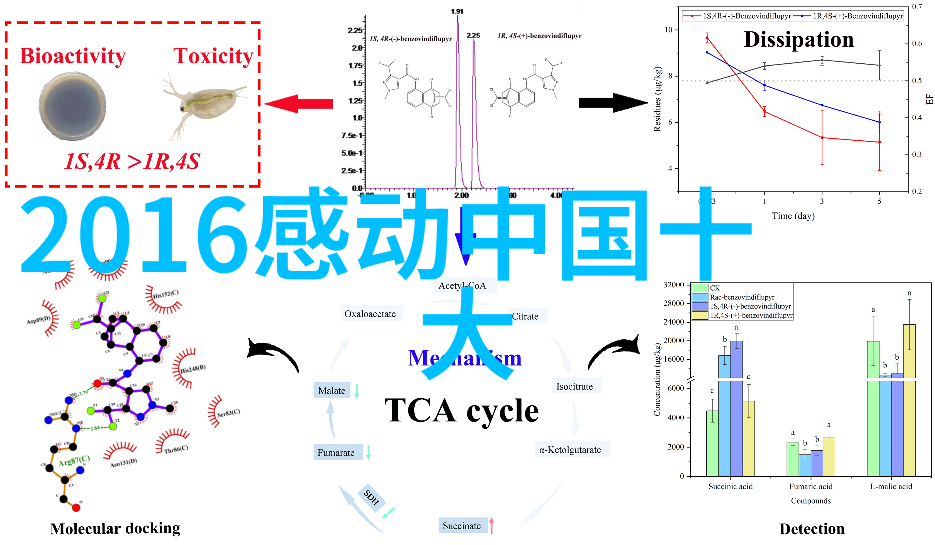 逆袭的力量一个贫穷小孩如何成为亿万富翁