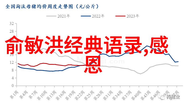 二婚晚上叫的厉害家庭和谐的新篇章