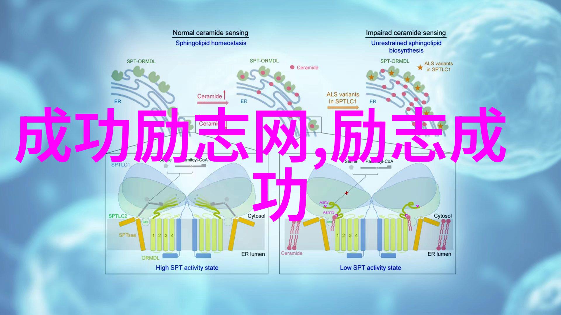 逆境中的奇迹艾伦图灵破解恩尼格玛机的故事