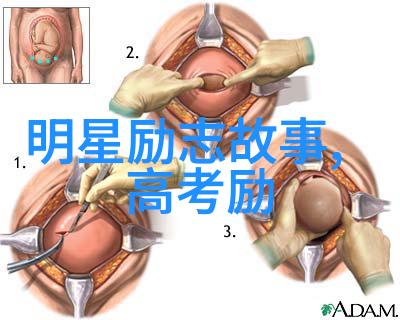 中国最励志女人的传奇故事坚韧不拔的女性成长