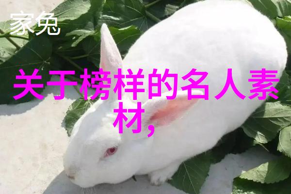 2019年感动中国十大人物英雄救国社会贡献无私奉献