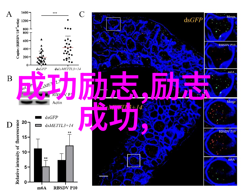 网络经典语录 - 创业巨擘杰克马斯克的成功启示