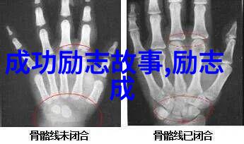 2019年的感动中国人物有哪些令人敬佩的地方