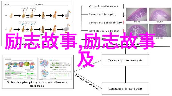 宫崎骏经典语录青春奇妙物语