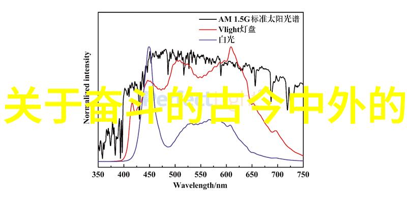 王小波经典语录-追梦者赵明在逆境中寻找希望的火焰