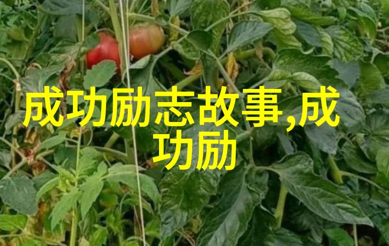 入园第一天的经典语录-踏青初见园中佳话与古韵