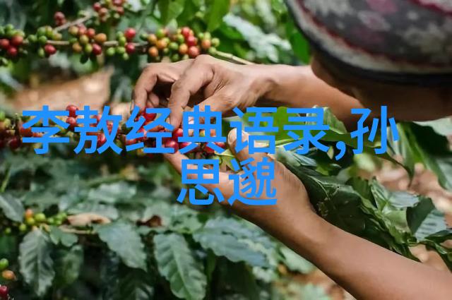 改变命运的力量探索2020年中国正能量人物的心路历程