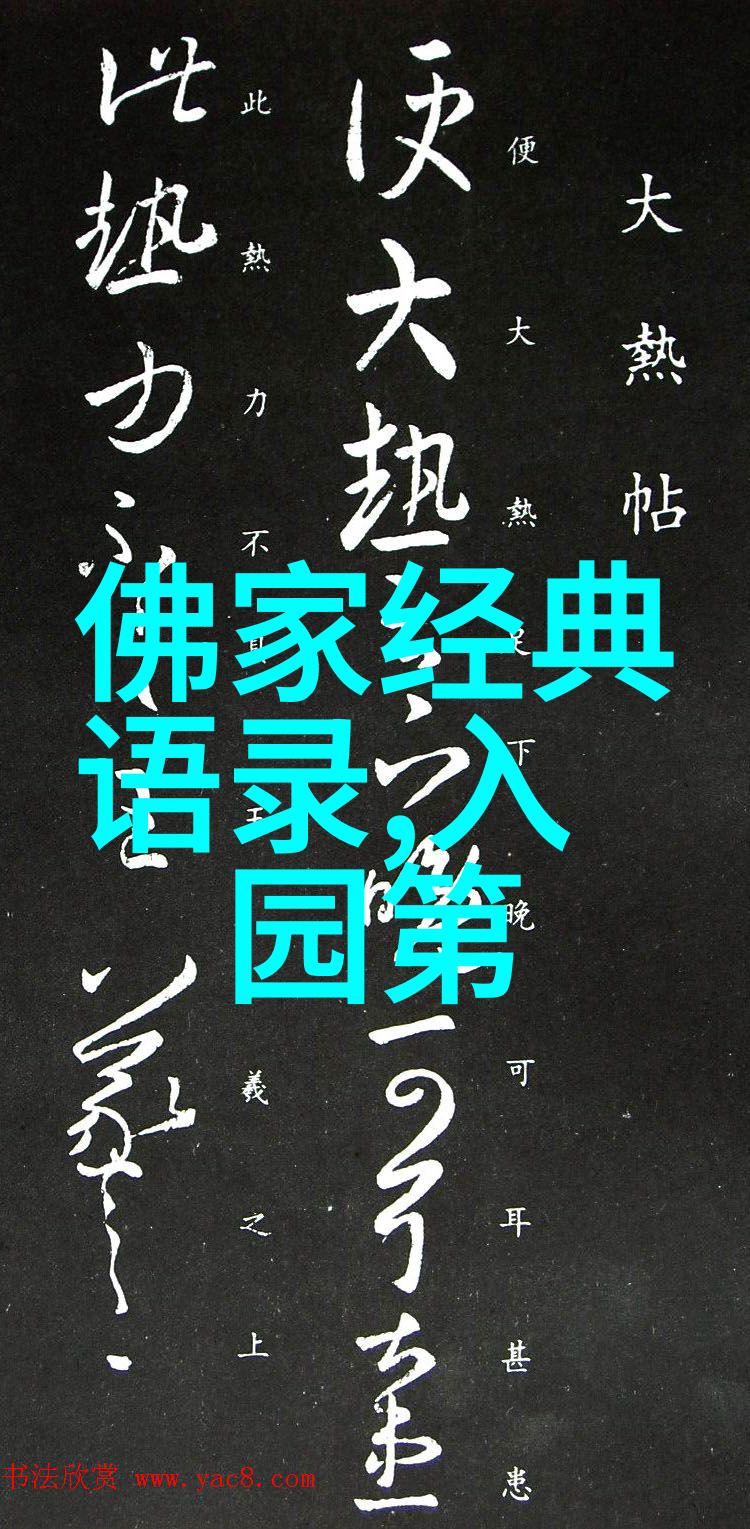 与爱同居2我和我的小伙伴们的新生活共享甜蜜与挑战