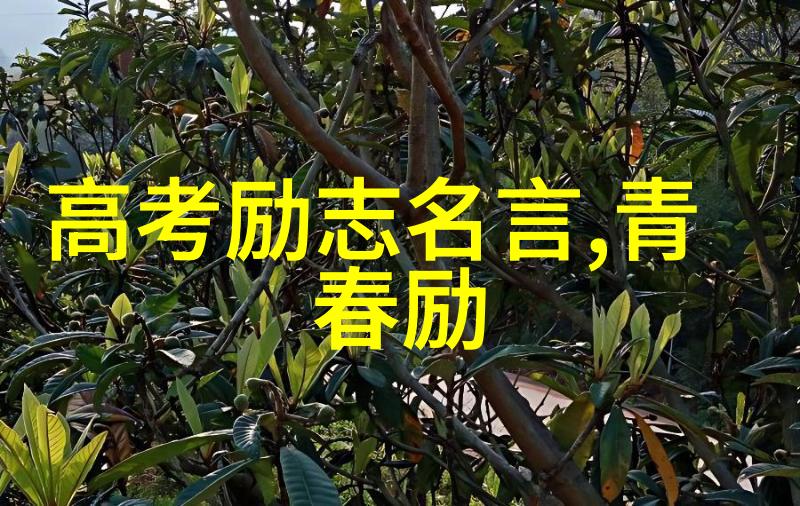 2018简爱经典语录全集