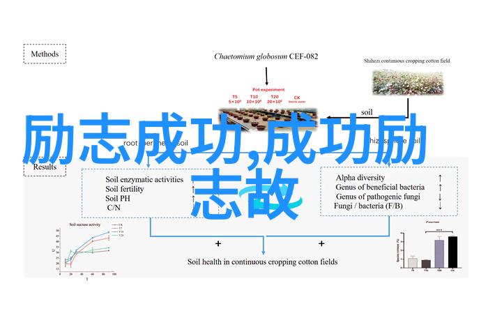 2021年不屈的灵魂与时代的挑战