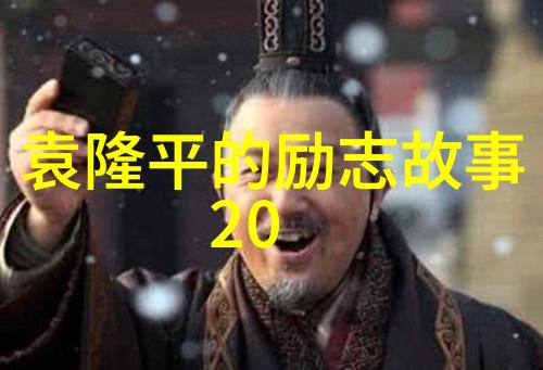 名流的逆袭之路偶像梦想的征程