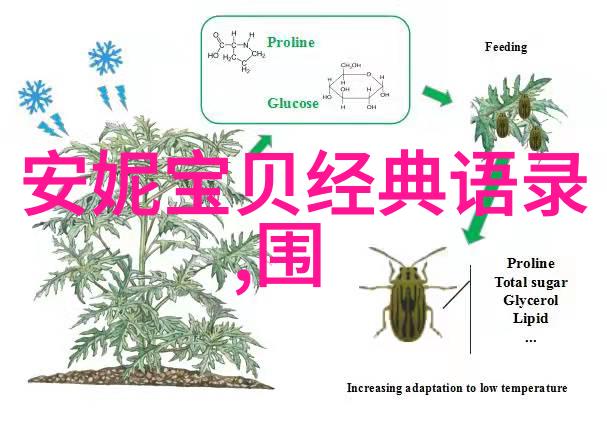 网上共享的力量励志故事网如何改变人们的生活