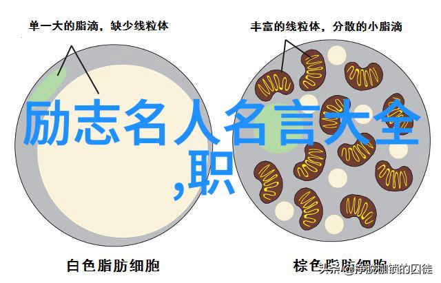 90后青年楷模人物追梦者创新领航者社会责任感强