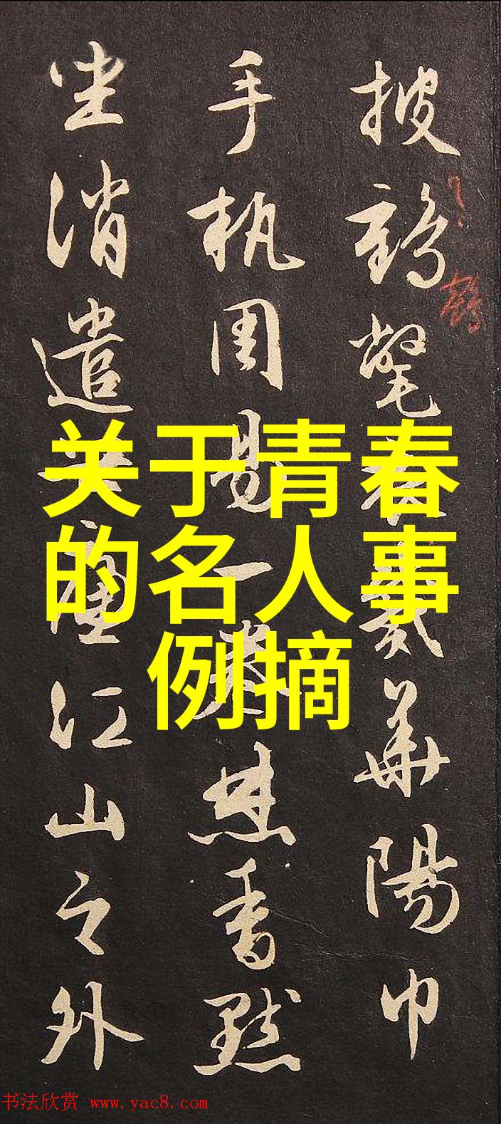 任正非谈妥协自然界传递的正确方向与正能量