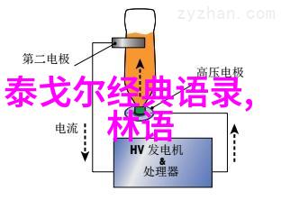 成功女性的殿堂她们的故事与启示玛丽巴尔蒙特奥普拉温弗瑞珍妮弗劳伦斯