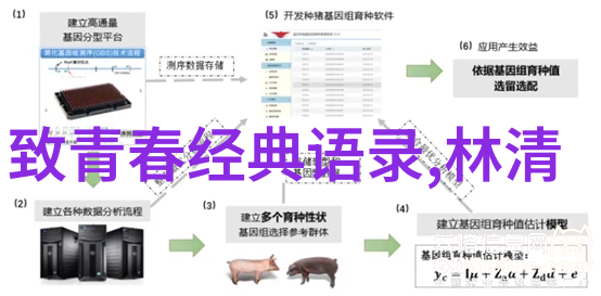 全程不盖被子打扑克视频大全趣味无限的家居娱乐之选