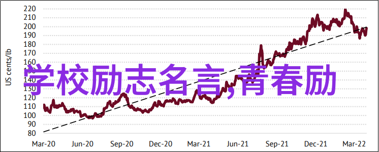 2021年简短人物事迹-李雷逆境中的篮球奇迹