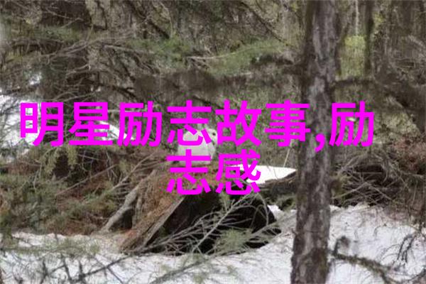 公交车上两个人一前一后攻击-乘客安全之劫揭秘公交车上的前后袭击