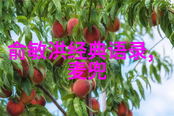 失重小说咬春饼梦幻冒险恋爱故事