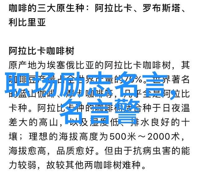 关于青春的简短小故事-岁月里的梦想与叛逆