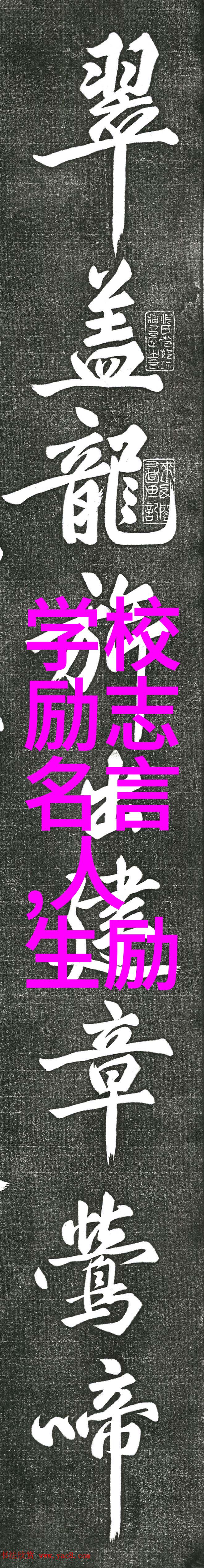 成为阴阳人后我苟活下来从死亡边缘我的阴阳生存记