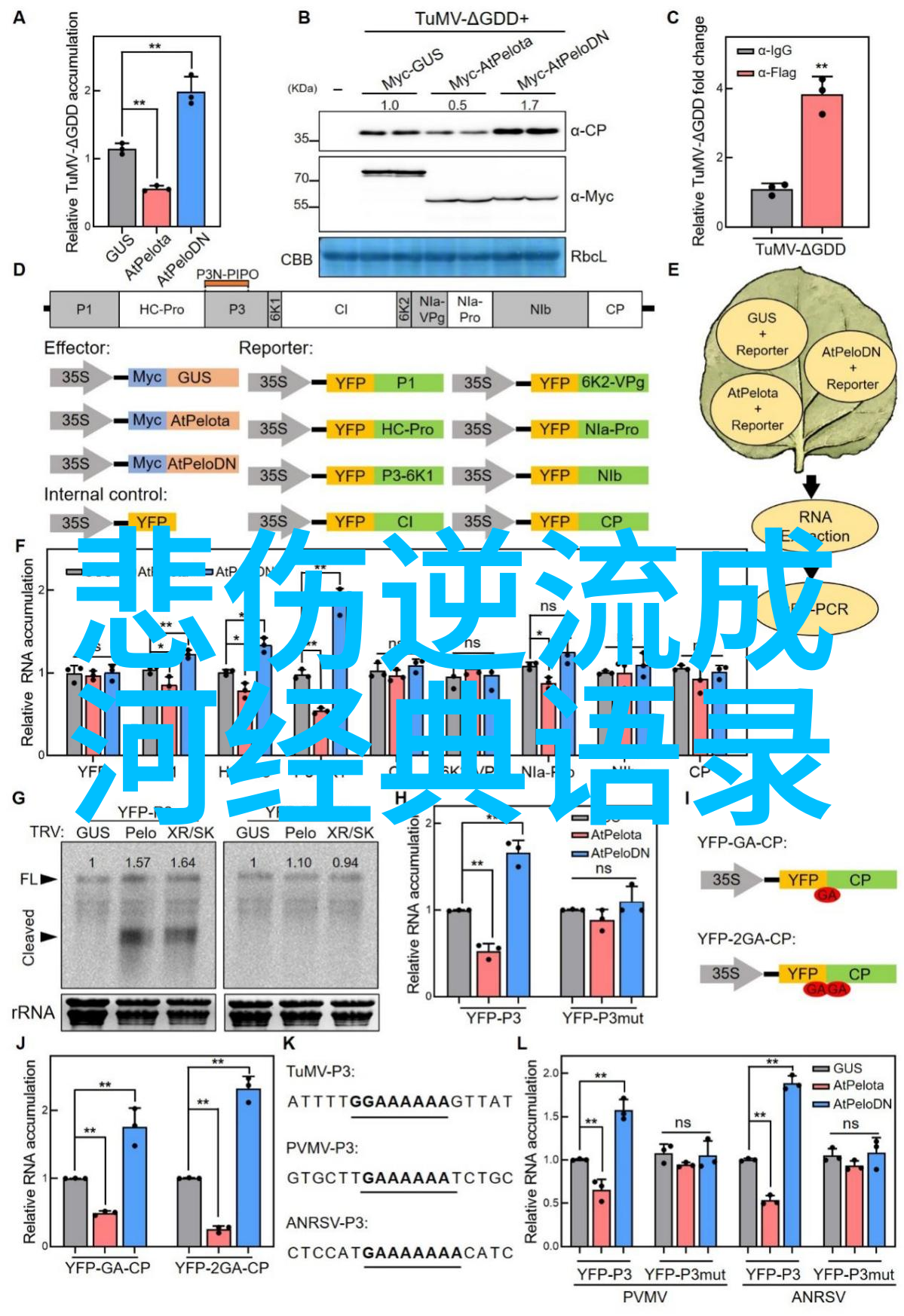 激励人心历史上最动人的励志名言与背后的力量