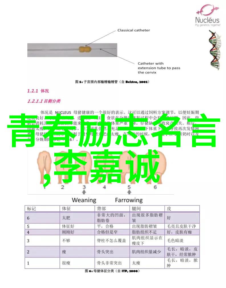 篮球之路上你的坚持是不是就像每一次投篮都是对梦想的无声呐喊