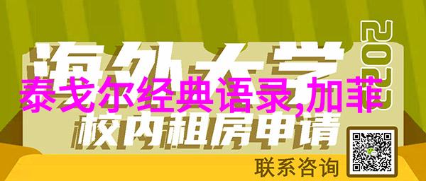 中国因你而美人物素材-绚烂的风采探索中国文化中的独特面孔