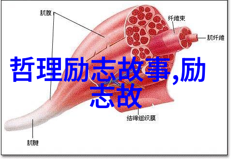 许德拉侬我和许德拉侬的奇妙冒险