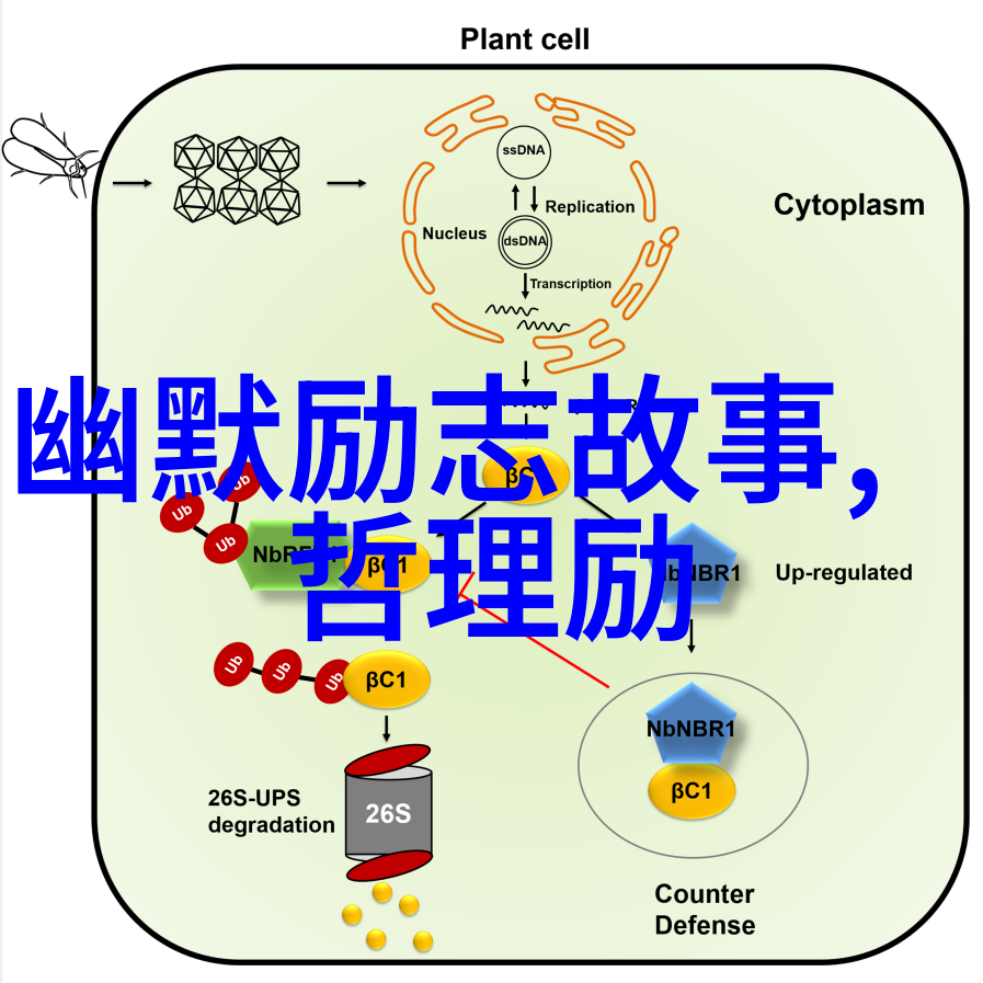 孙思邈经典语录-长生久视探索孙思邈智慧的精髓