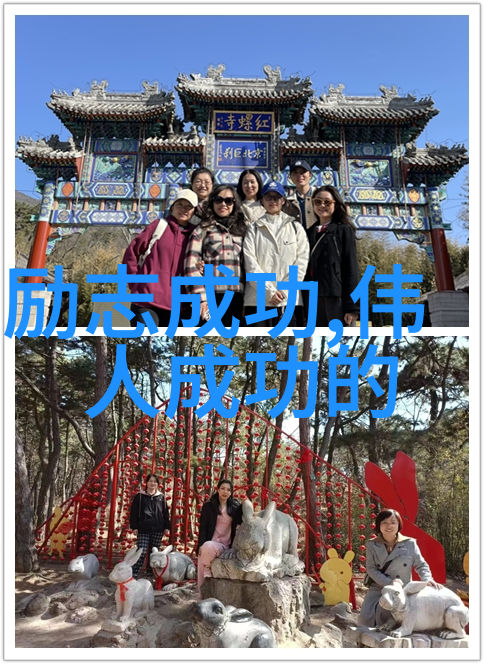 从粉丝到偶像的旅程名人的努力故事有哪些值得我们学习的地方