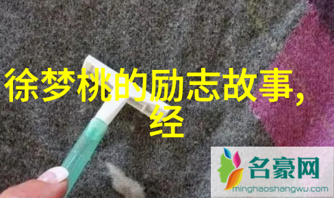 镜中影子揭秘那些隐藏在光芒背后的故事