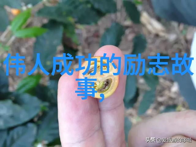 每一步都充满希望探索那些从废墟中崛起的人生传奇