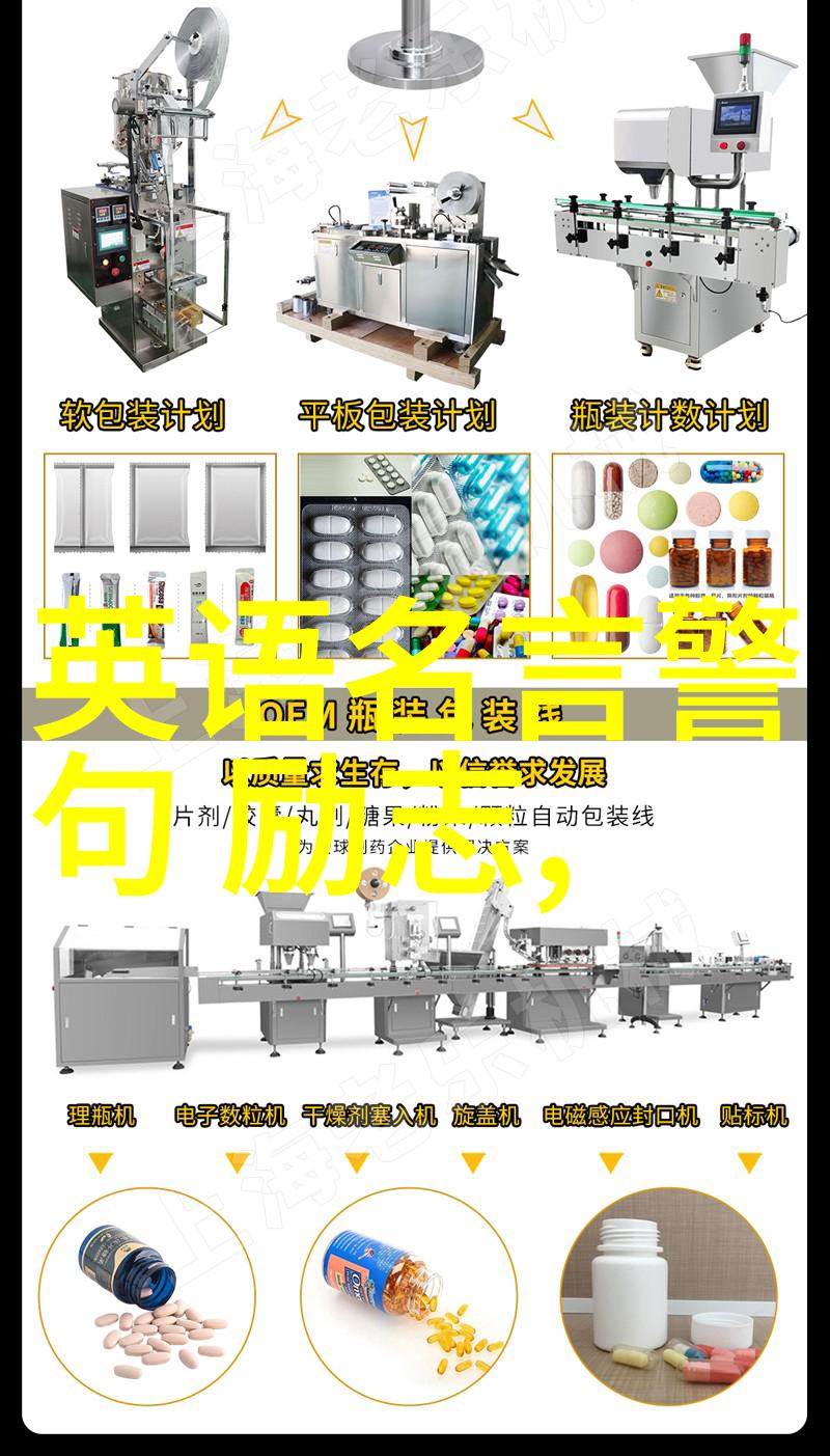 在逆境中成长的力量一个励志故事的诞生