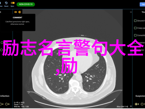 西蒙凡布伊高三励志名言经典爱情语录的反复诵读