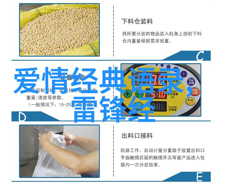 逆袭的力量从一名小学教师到成功作家的励志之旅