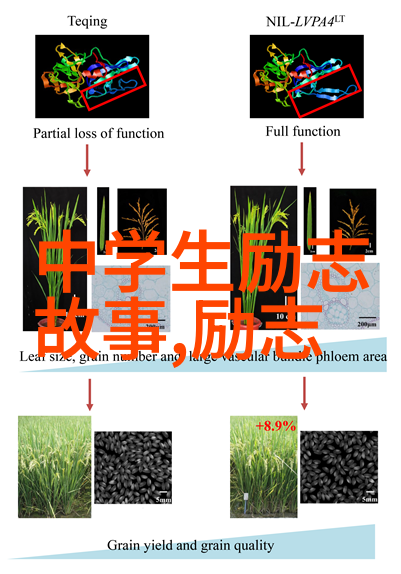 文字的魔法张爱玲的智慧与情感