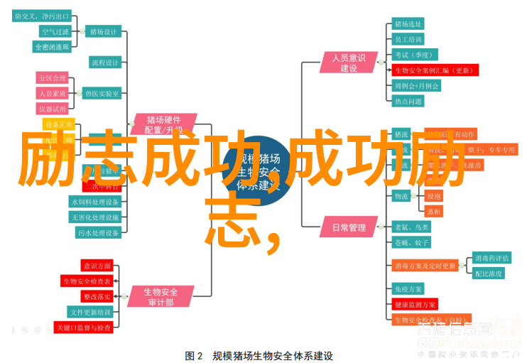 欧美人与人动人物2020我在欧洲见证了最热闹的街头派对