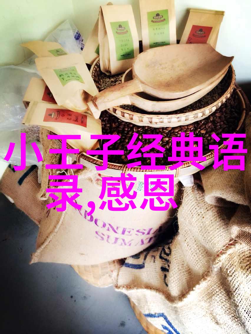 阿里巴巴的创业之魂马云的智慧与激励